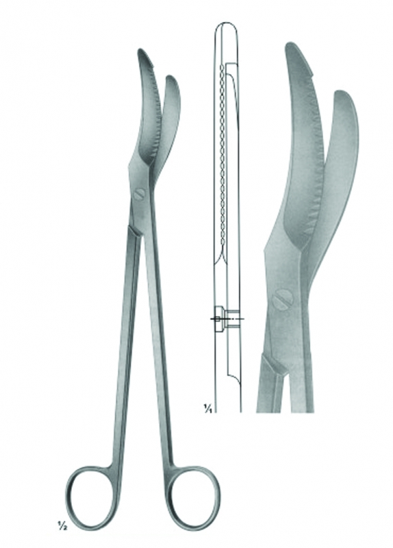 Scissors of Obstetrics, Umbilical cord clamp